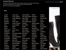 Tablet Screenshot of animalphotos.info