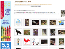 Tablet Screenshot of animalphotos.net